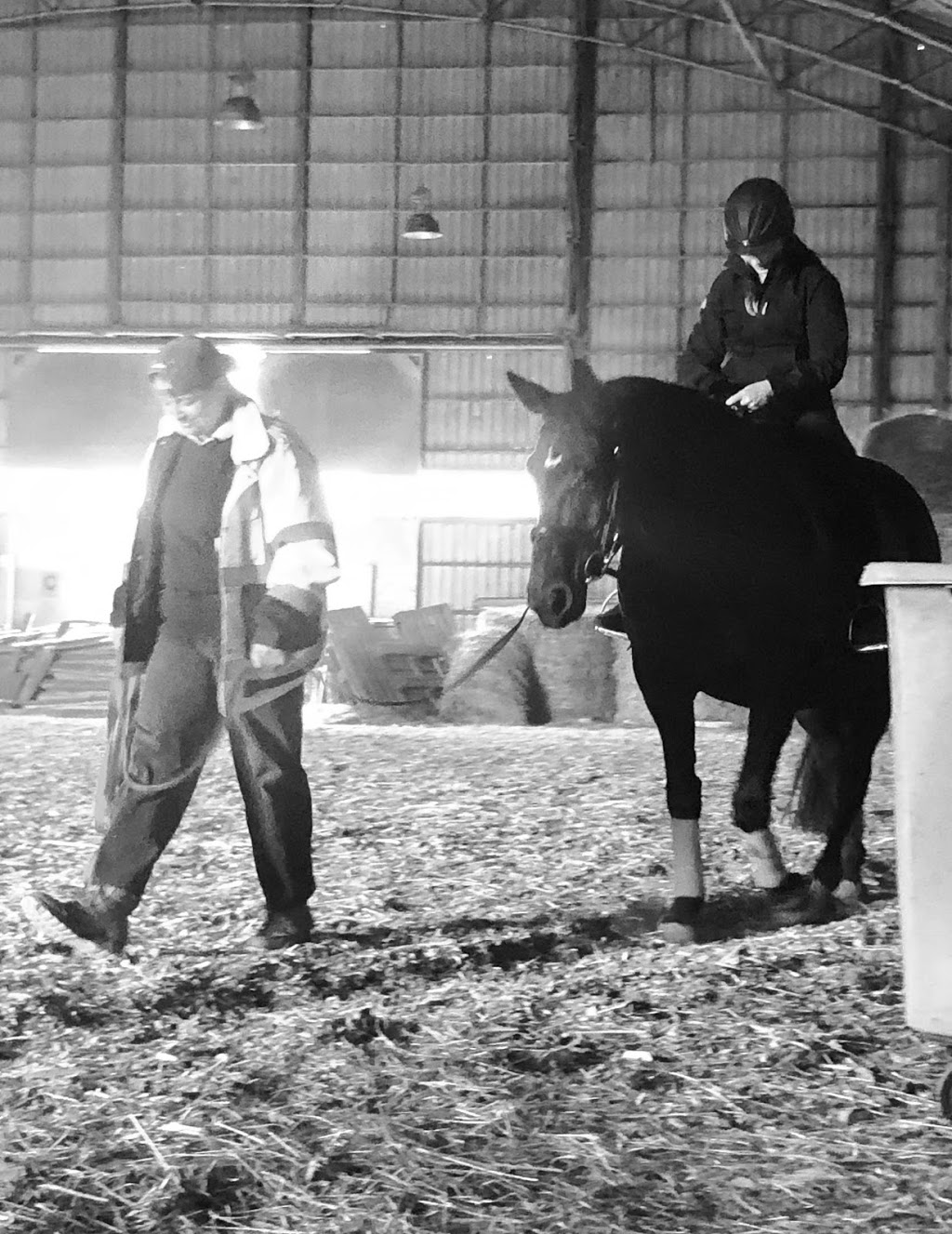 Applehill Stables | 6115 Prince of Wales Dr, North Gower, ON K0A 2T0, Canada | Phone: (613) 489-2446