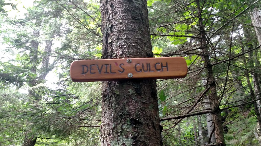 Edens Crossing Long Trail Parking Lot | 4731 Belvidere Rd, Eden, VT 05652, USA