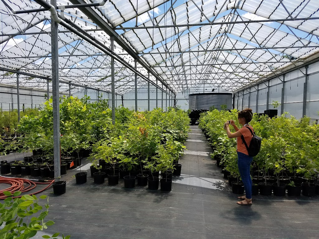 Kayanase - Ecological Restoration And Ecotourism | 993 1M0, Brant County Hwy 54, Ohsweken, ON N0A 1M0, Canada | Phone: (519) 770-0013