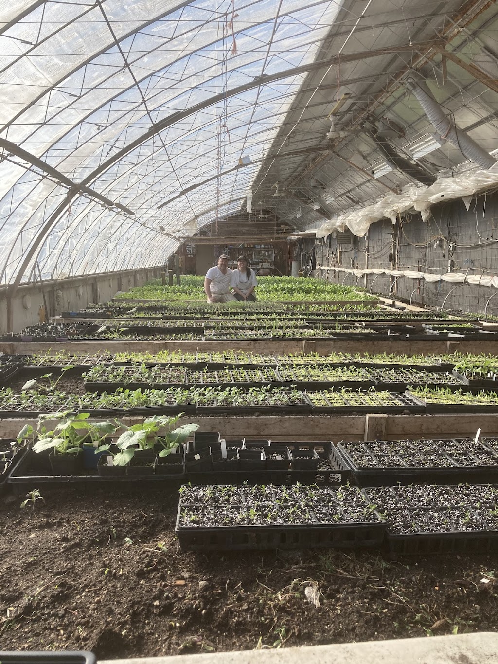 Blue Lagoon Organics Farm | 1A3 781, MB-26, Saint François Xavier, MB R4L 1A2, Canada | Phone: (204) 864-2277
