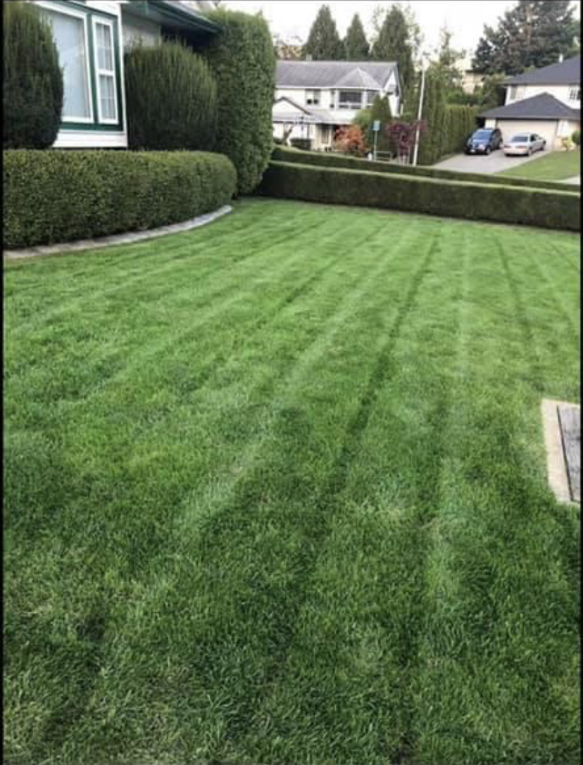 BAs Lawn Care | Ascott Ave, Abbotsford, BC V2S 4V5, Canada | Phone: (778) 878-1737