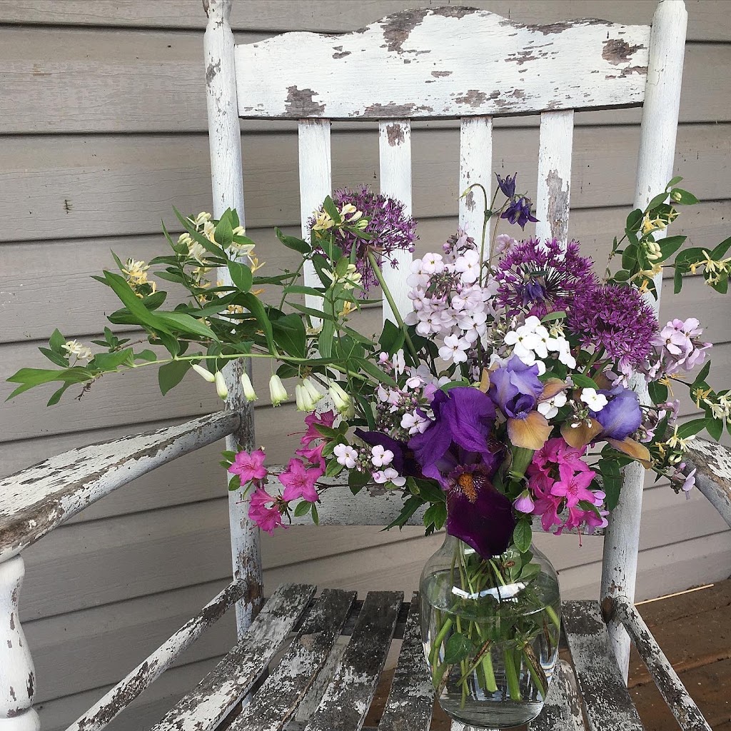 Owl Grove Roses | 1 Harbour St, Brighton, ON K0K 1H0, Canada | Phone: (905) 375-4375