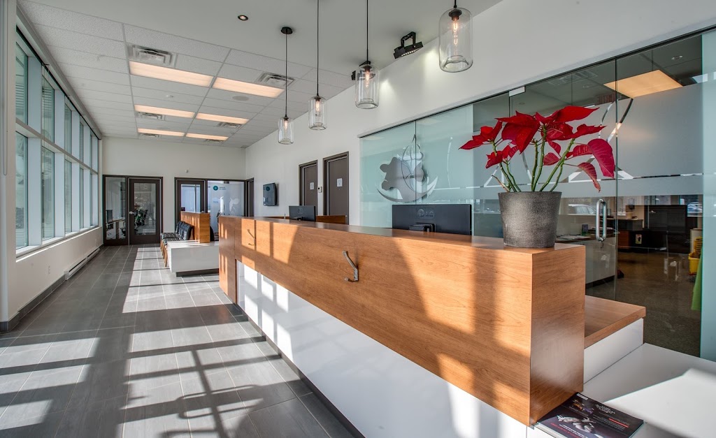 Clinique Vétérinaire Donnacona | 439 QC-138, Donnacona, QC G3M 0A9, Canada | Phone: (418) 285-0473