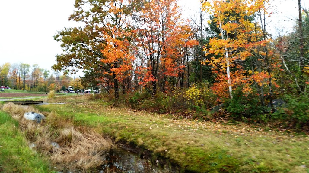 Bala Cranberry Festival | 3060 Muskoka District Road 169, Bala, ON P0C 1A0, Canada | Phone: (705) 762-1564