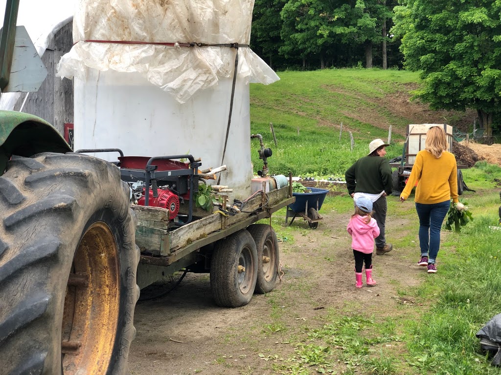 Jardi-fruits dantan - Ferme maraîchère sans pesticides | 555 Chemin Roarke, Saint-Denis-de-Brompton, QC J0B 2P0, Canada | Phone: (819) 846-4921