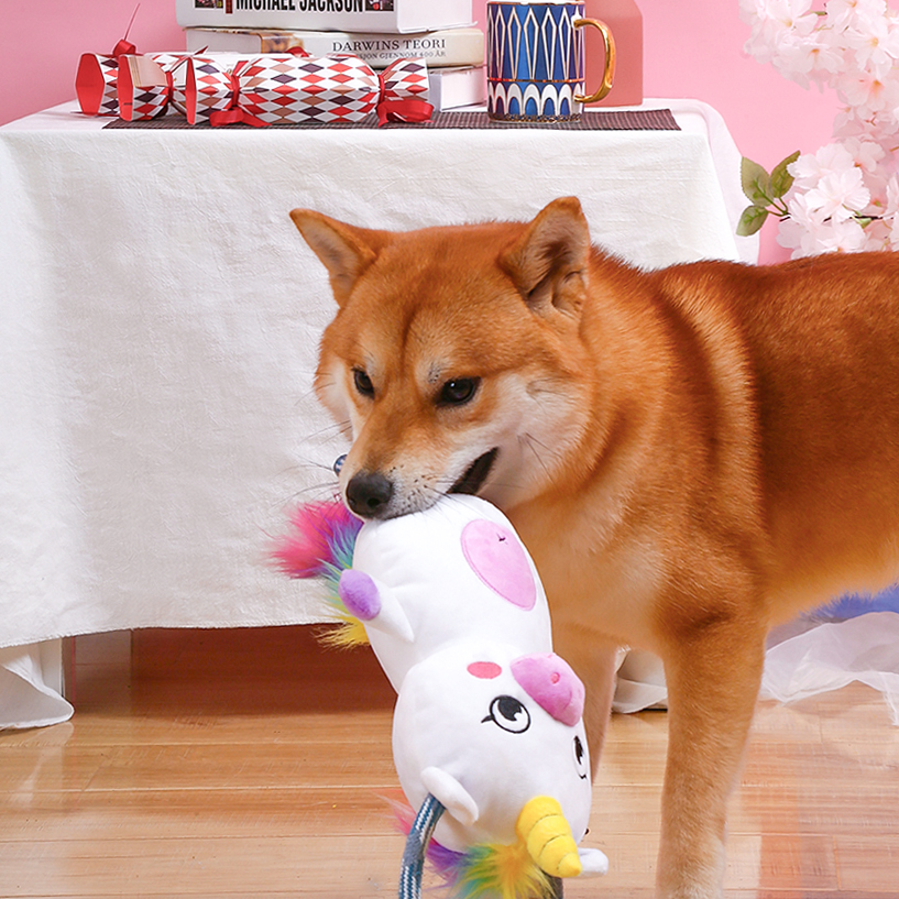 Hugsmart Pet Products | 2999 Underhill Ave #303, Burnaby, BC V5A 3C2, Canada | Phone: (604) 722-2292