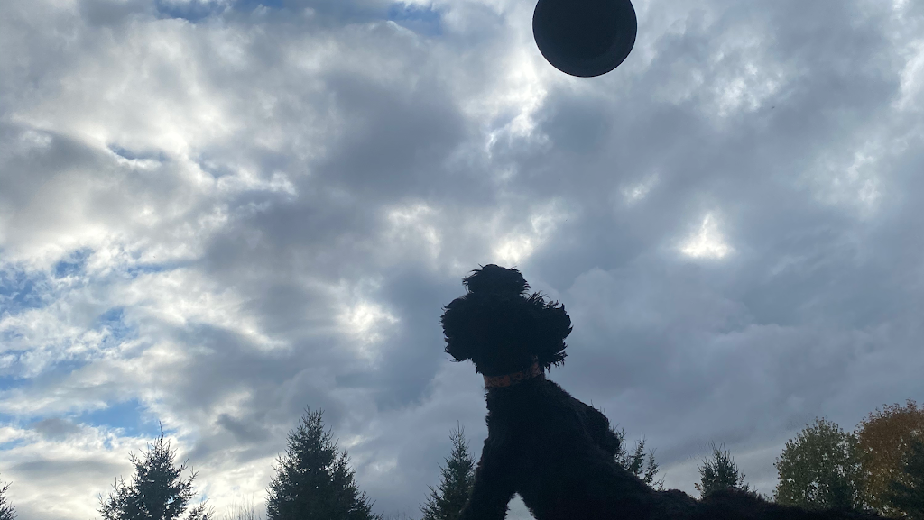 RuffSport | 4160 10th Side Rd RR#4, Cookstown, ON L0L 1L0, Canada | Phone: (416) 886-3418