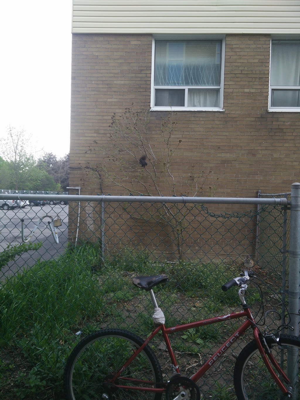 Elijah Park | 117 Rajah St, North York, ON M6A 2J4, Canada | Phone: (416) 396-7378