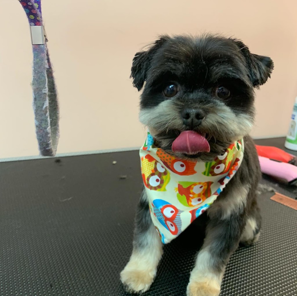 Bubble Be Be Pet Grooming Spa | 1395 Abbeywood Dr #3A, Oakville, ON L6M 3B2, Canada | Phone: (905) 827-7774