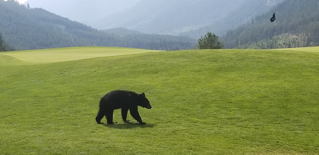 Greywolf Golf Course | 1860 Greywolf Dr, Panorama, BC V0A 1T0, Canada | Phone: (250) 341-4100