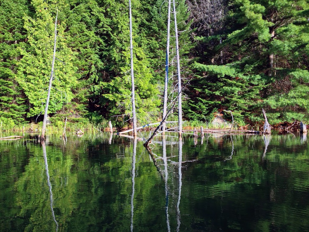 Pourvoirie Baroux Inc | 1141 Chemin de la Pourvoirie Baroux, Amherst, QC J0T 2L0, Canada | Phone: (819) 425-7882