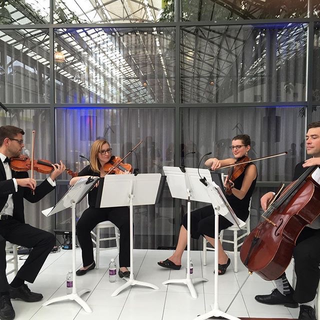 Stringbeans String Quartet | 227 22560 Wye Rd, Sherwood Park, AB T8A 4T6, Canada | Phone: (780) 200-3505