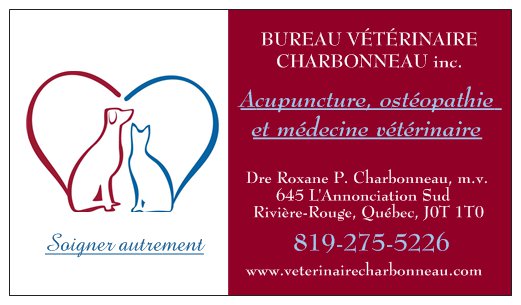Bureau Vétérinaire Charbonneau inc. | 645 Rue LAnnonciation S, Rivière-Rouge, QC J0T 1T0, Canada | Phone: (819) 275-5226