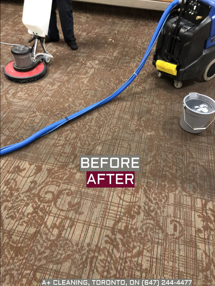 Thornhill Carpet and Upholstery Cleaning Services | 10 Donisi Ave, Vaughan, ON L4J 6G5, Canada | Phone: (647) 244-4477