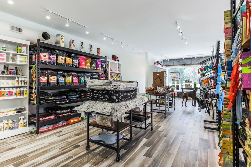 Hounds Of York | 9 Niagara St, Toronto, ON M5V 1C2, Canada | Phone: (416) 593-5225