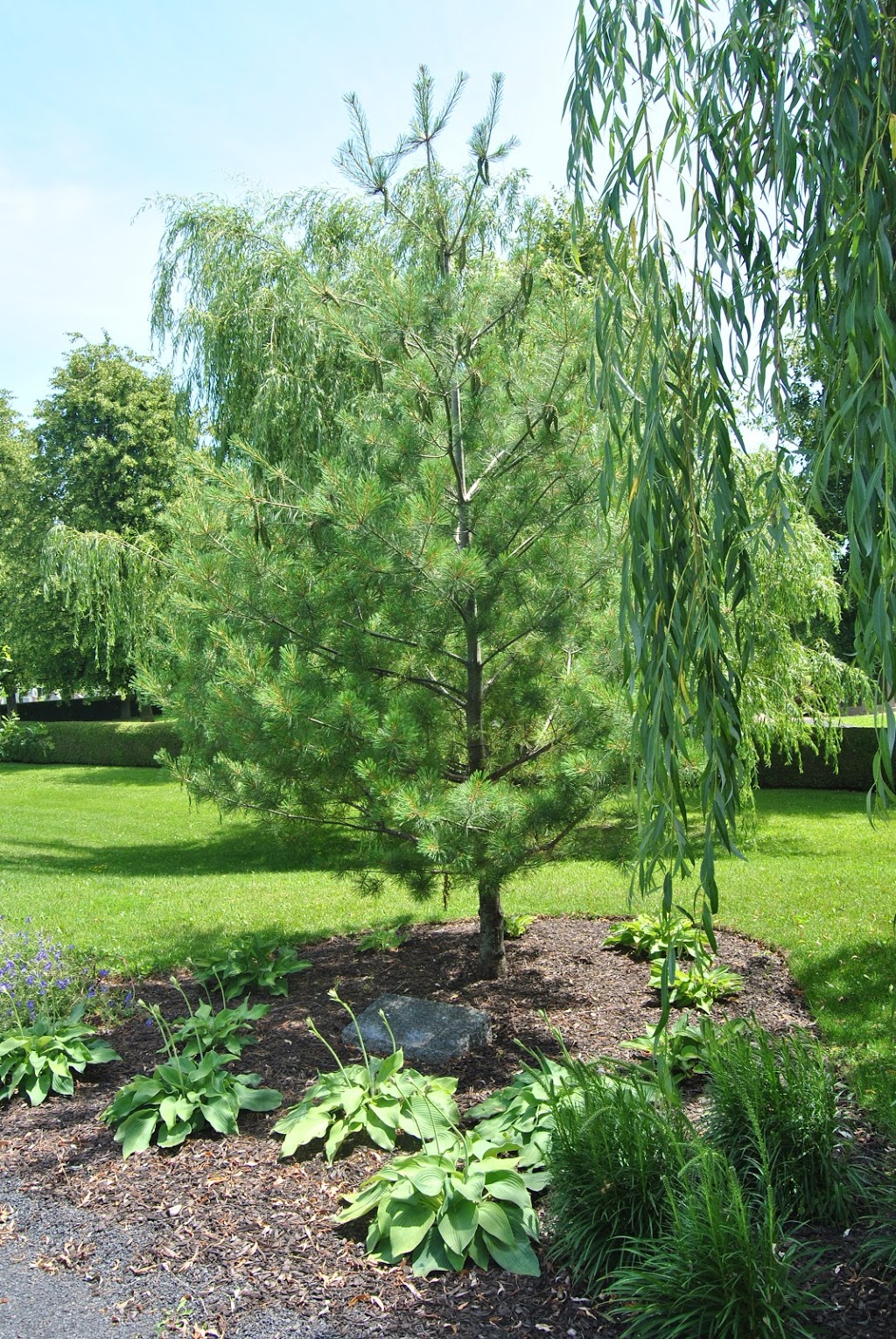 Cimetiere St Jean-Richelieu | 563 Rue Saint-Jacques, Saint-Jean-sur-Richelieu, QC J3B 7N7, Canada | Phone: (450) 357-0043