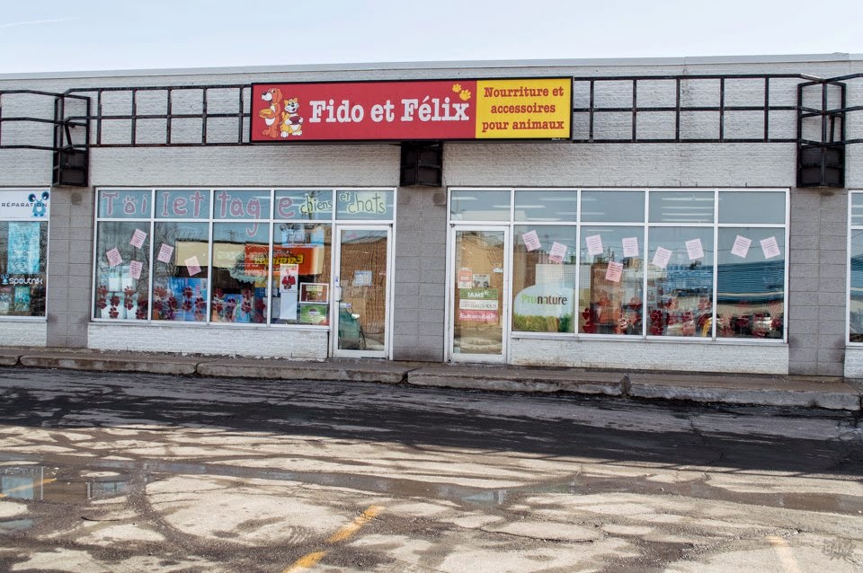 Fido et Felix | 820 Boulevard de Périgny, Chambly, QC J3L 1W3, Canada | Phone: (450) 403-1716