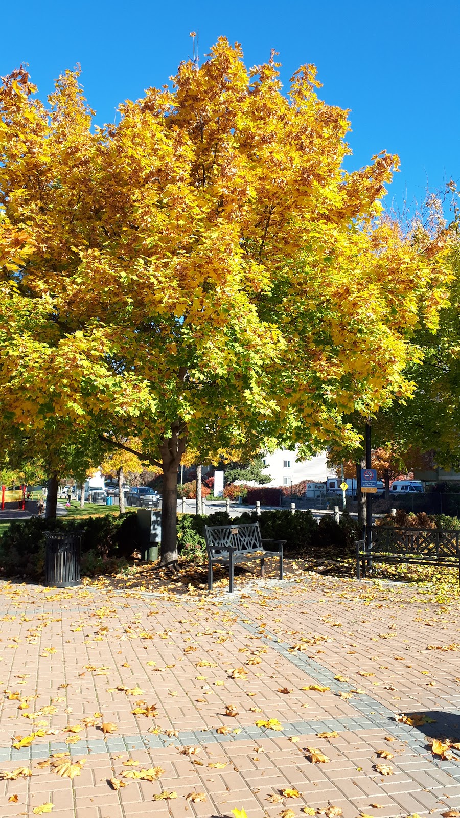 Ben Lee Park - Water Park | 900 Houghton Rd, Kelowna, BC V1X 2C8, Canada | Phone: (250) 717-2757