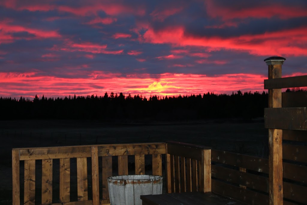 Les belles du lac | 344 rte 263 sud, Marston, QC G0Y 1G0, Canada | Phone: (819) 340-1839