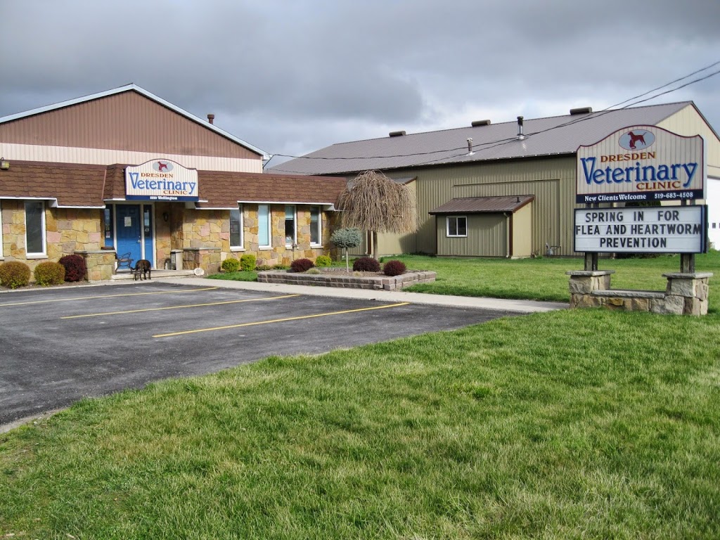 Dresden Veterinary Clinic | 1220 Wellington St, Dresden, ON N0P 1M0, Canada | Phone: (519) 683-4508