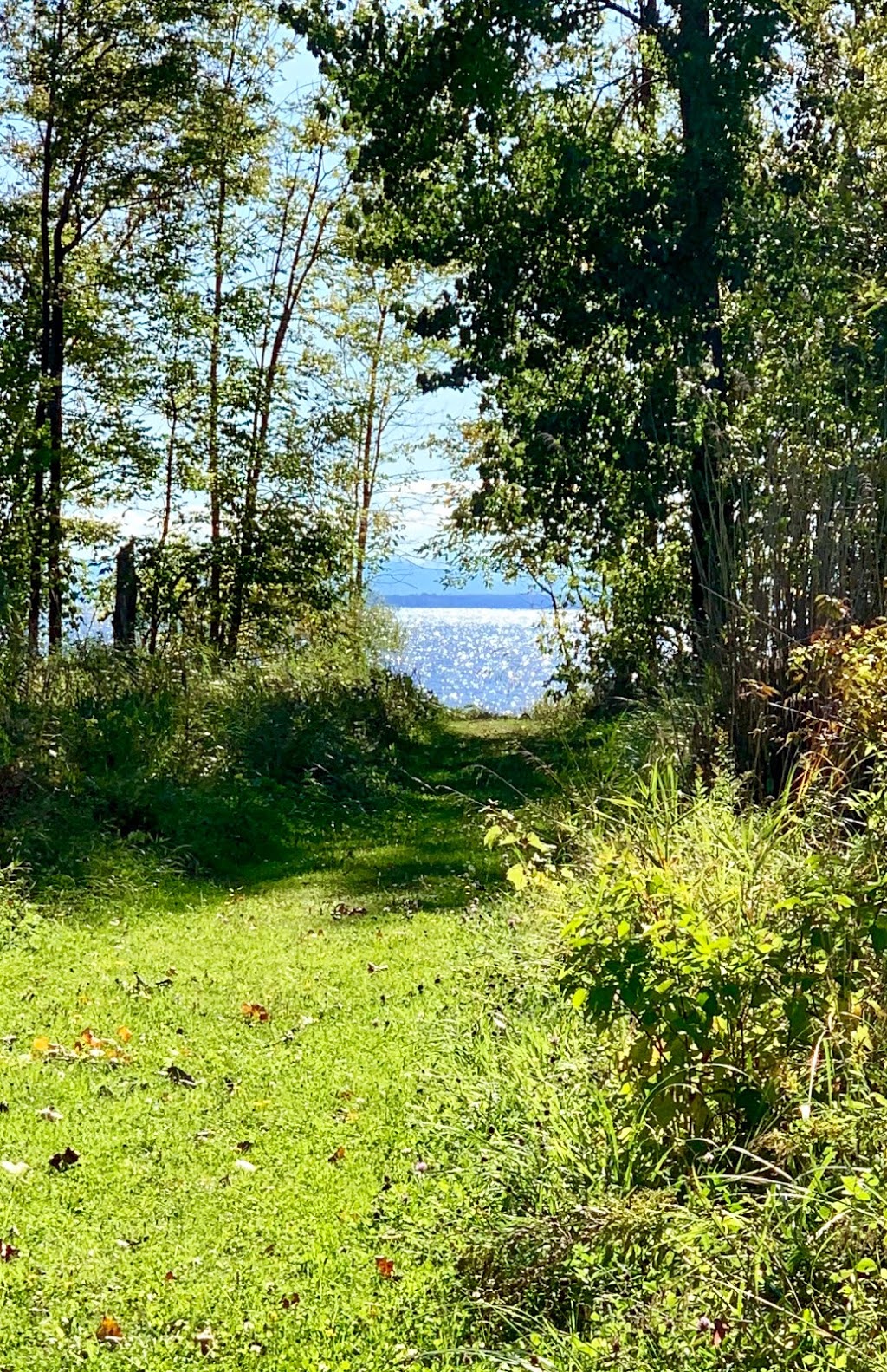 Alburg Dunes State Park | 151 Coon Point Rd, Alburg, VT 05440, USA | Phone: (802) 796-4170