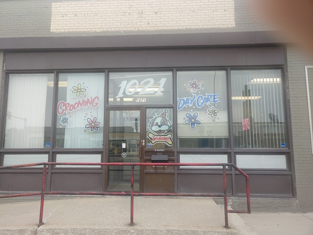 Happy Dogs Grooming | 1021 McPhillips St, Winnipeg, MB R2X 2K6, Canada | Phone: (204) 306-3987