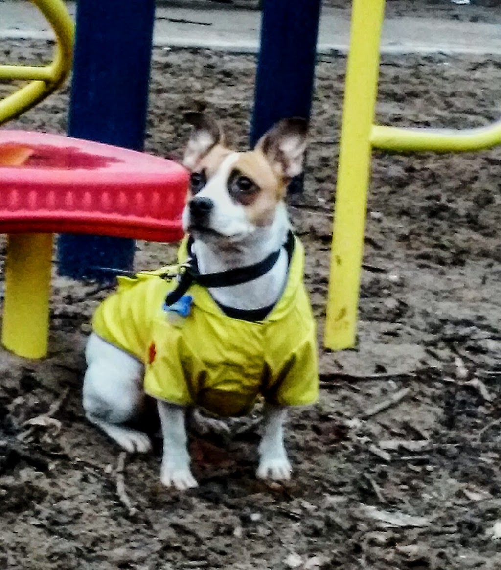 Spencer - Cowan Parkette | 80 Spencer Ave, Toronto, ON M6K 2J6, Canada | Phone: (416) 338-4386