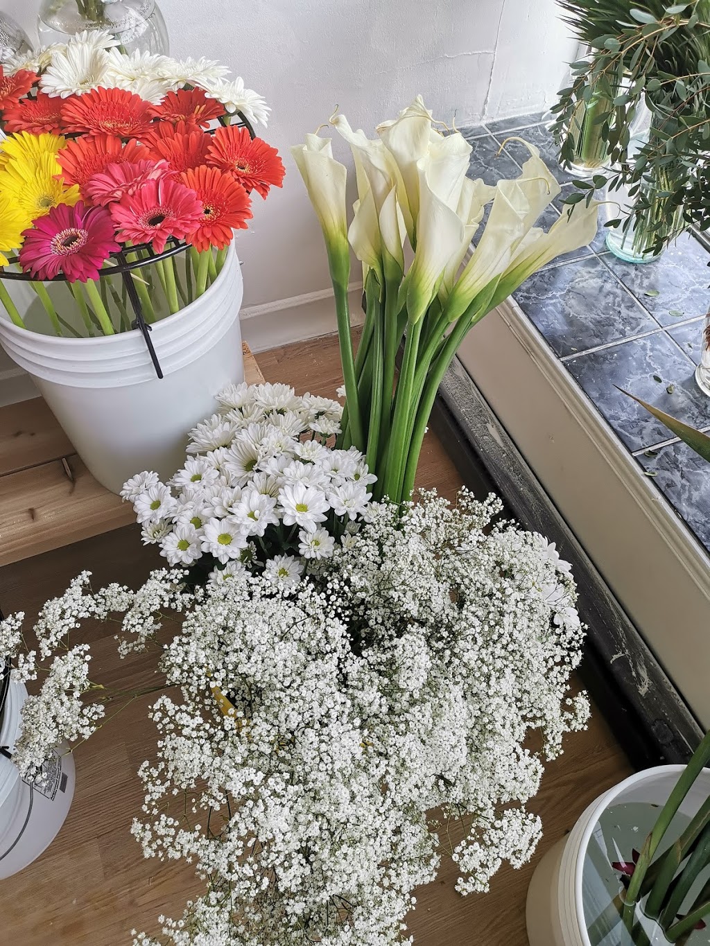 Fleuriste FlauraMex | 387A Boulevard Cartier O, Laval, QC H7N 2K6, Canada | Phone: (450) 973-8028