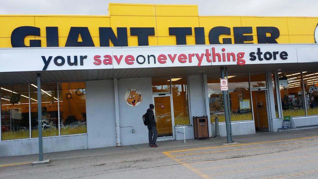 Giant Tiger | 390 Springbank Dr Unit1, London, ON N6J 1G9, Canada | Phone: (519) 472-5038