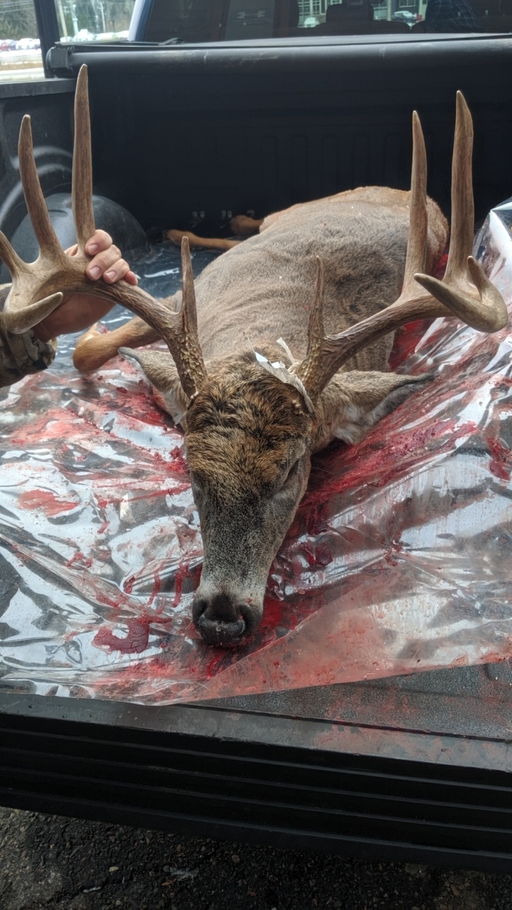 Chasse et Pêche Tremblant | 302 QC-117, Mont-Tremblant, QC J8E 2X3, Canada | Phone: (819) 429-0808