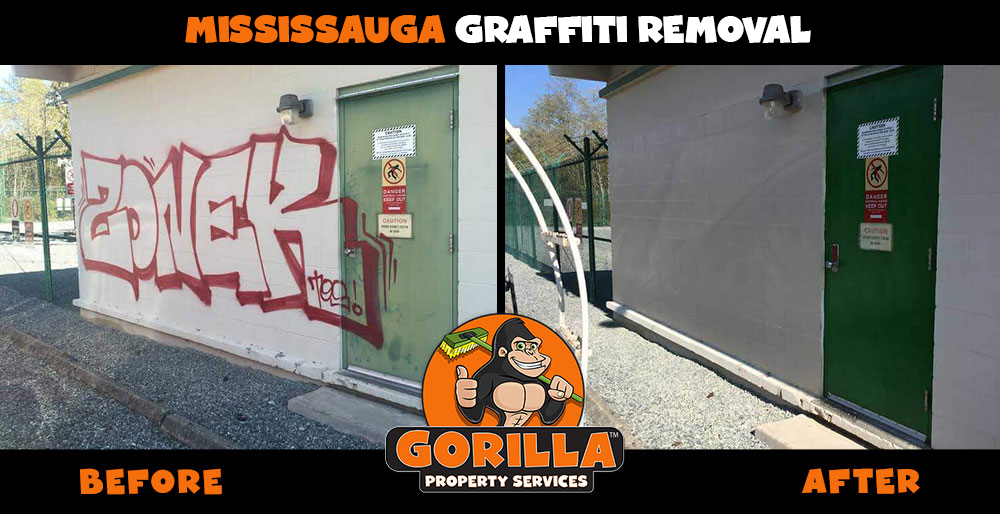 Gorilla Property Services | 7360 Bramalea Rd #885, Mississauga, ON L5S 1W9, Canada | Phone: (905) 963-9059