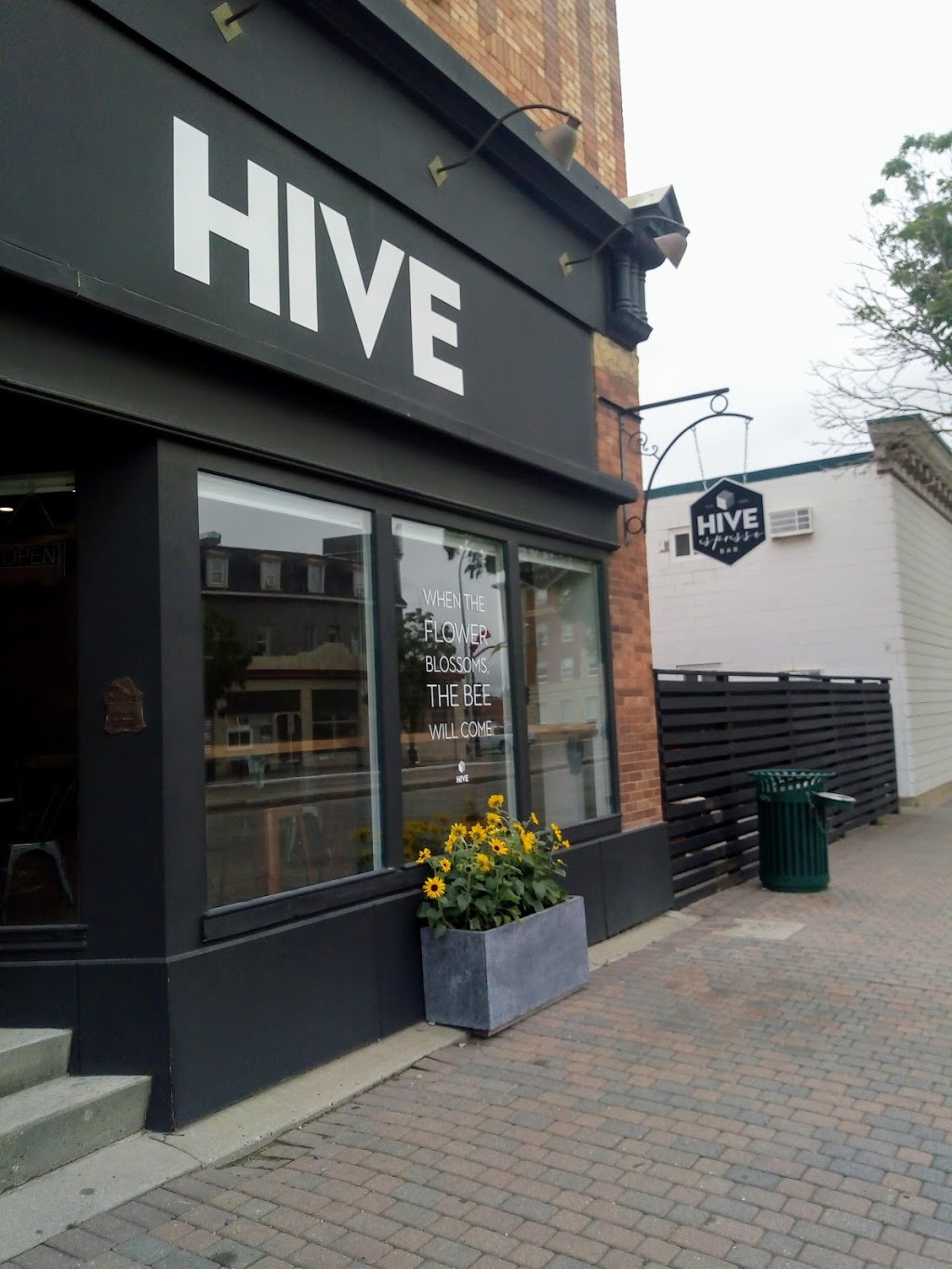 THE HIVE | 23 Main St N, Moose Jaw, SK S6H 0V8, Canada | Phone: (306) 313-8820