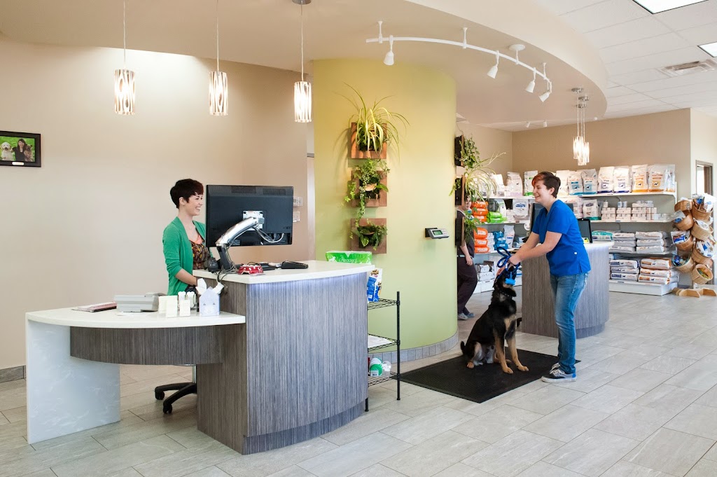 Green Acres Animal Hospital | 4631 24 Ave S, Lethbridge, AB T1K 7C1, Canada | Phone: (403) 327-8660
