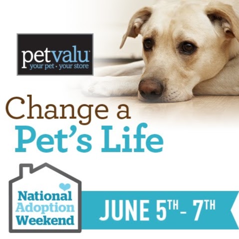 Pet Valu | 619 Victoria St W, Whitby, ON L1N 0E4, Canada | Phone: (905) 430-4738