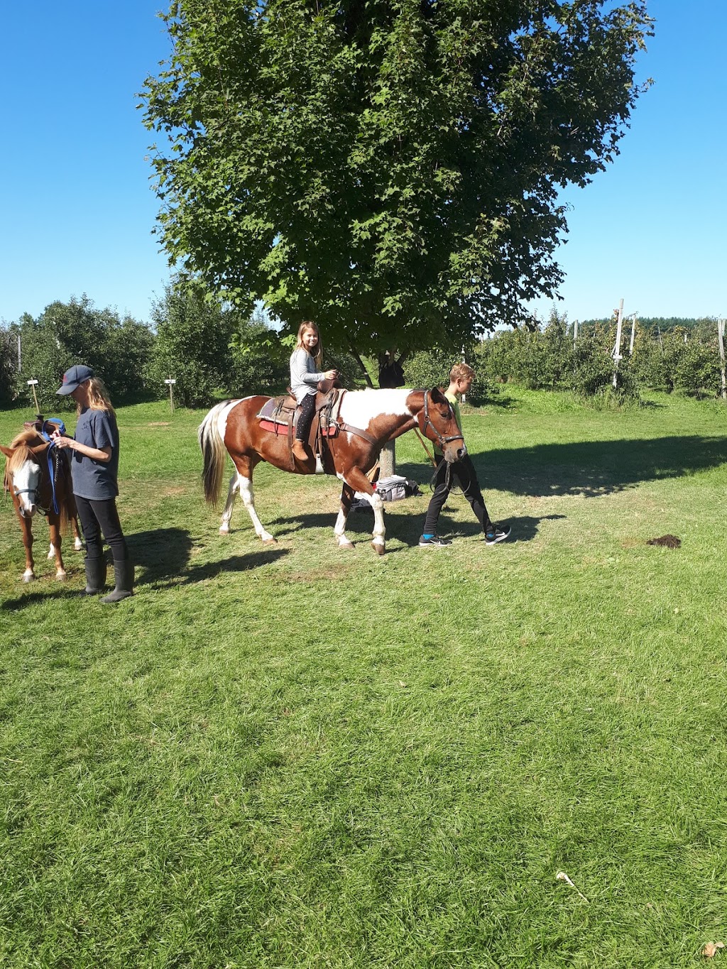 Brantwood Farms | 251 Powerline Rd, Brantford, ON N3T 5L8, Canada | Phone: (519) 759-4383