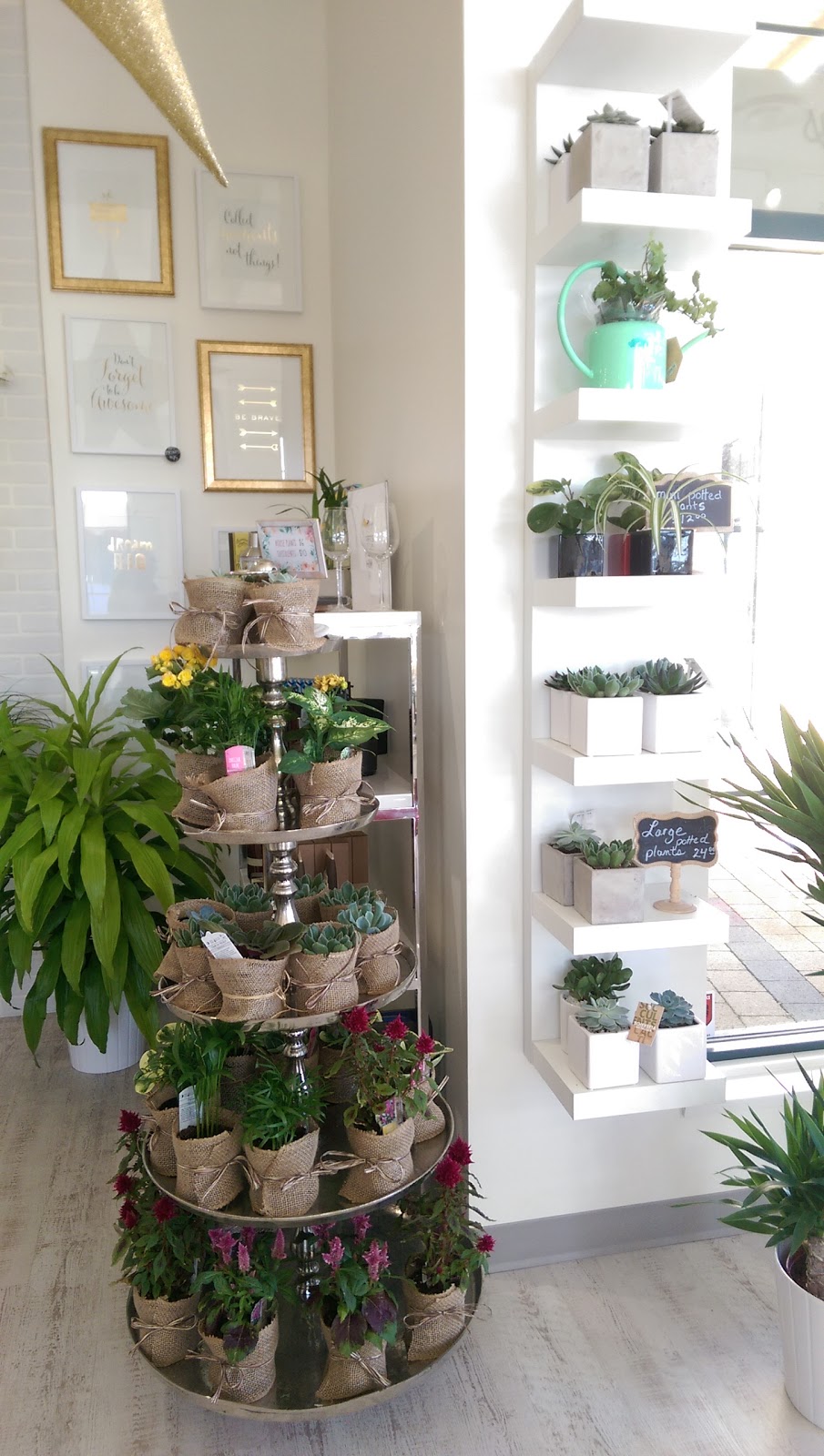 Pretty Things Florist | 110 - 3531 Bayview St, Richmond, BC V7E 5W3, Canada | Phone: (604) 285-9120