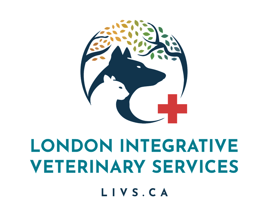 London Integrative Veterinary Services | 1889 Wharncliffe Rd S, London, ON N6L 1K2, Canada | Phone: (519) 652-0667