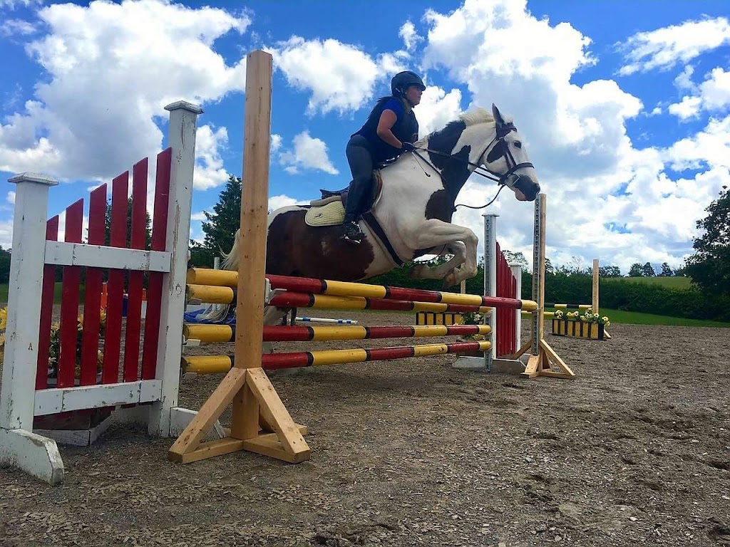 Dreamcrest Equestrian Services | 2130 Shirley Rd, Port Perry, ON L9L 1B3, Canada | Phone: (905) 985-1599