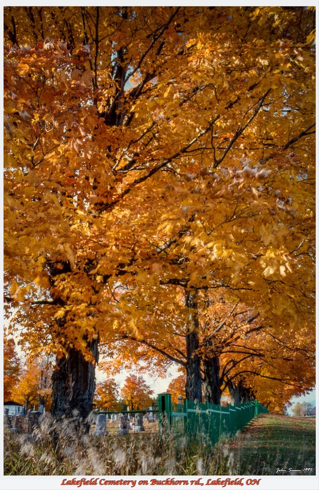 Lakefield Cemetery & Crematorium Inc. | 1262 Buckhorn Rd, Lakefield, ON K0L 2H0, Canada | Phone: (705) 652-3252