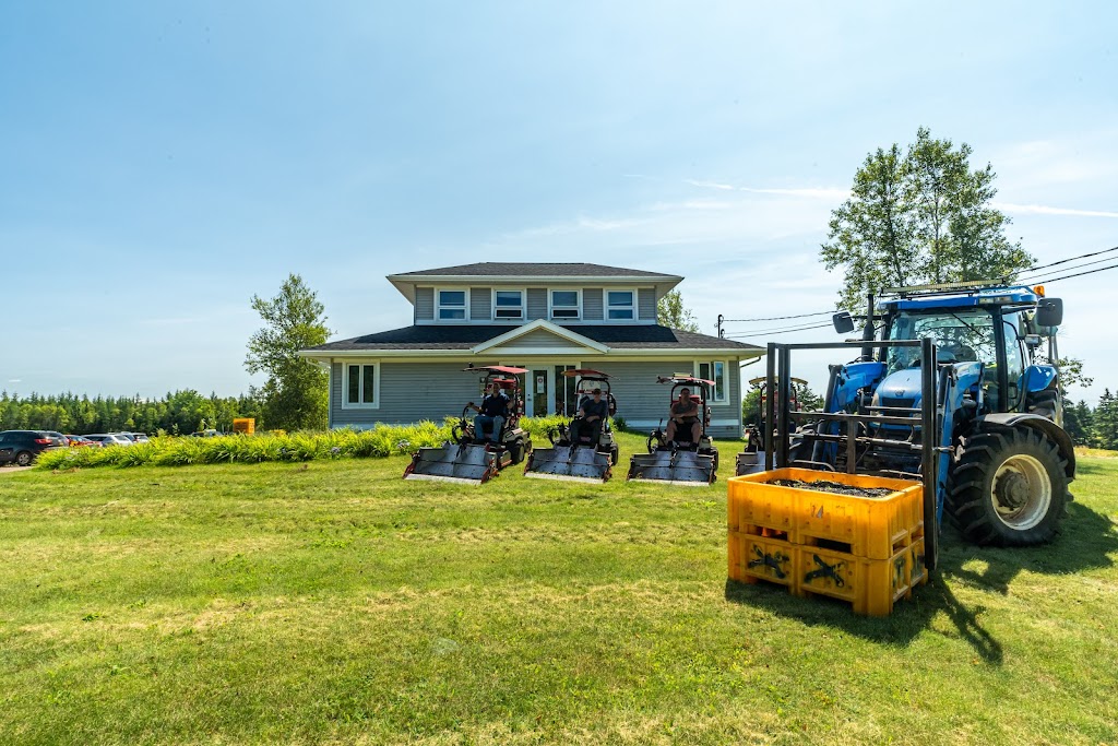 Pictou County Berry | 4951 Pictou Landing Rd, Trenton, NS B0K 1X0, Canada | Phone: (902) 396-8364