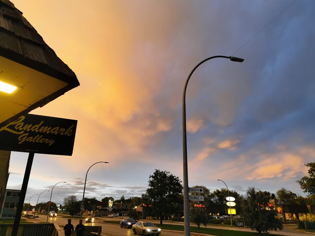 Yougot Chinese Restaurant | 1521 Pembina Hwy, Winnipeg, MB R3T 2E4, Canada | Phone: (204) 284-6618