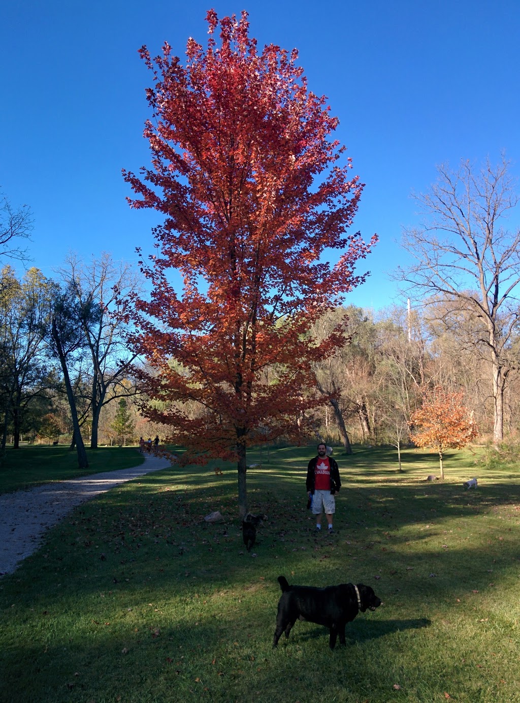 Kinsmen Participark | 45-65 Concession St W, Tillsonburg, ON N4G, Canada