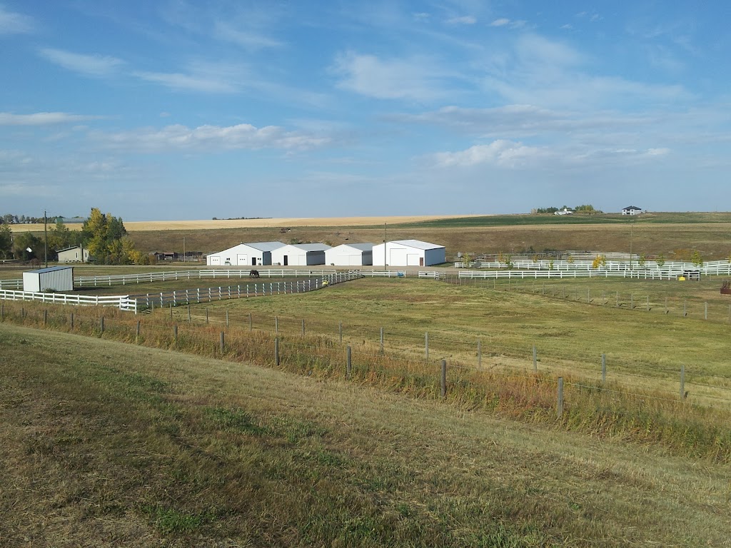 OBrays Equine Services | 29509 Hwy 2A, Carstairs, AB T0M 0N0, Canada | Phone: (403) 337-4006