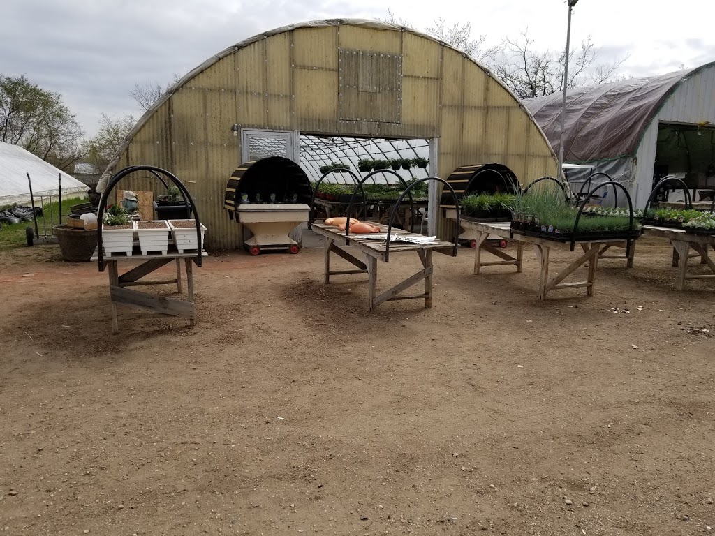 Windmill Greenhouses | 1640 Ominica St E, Moose Jaw, SK S6H 7K7, Canada | Phone: (306) 692-1663