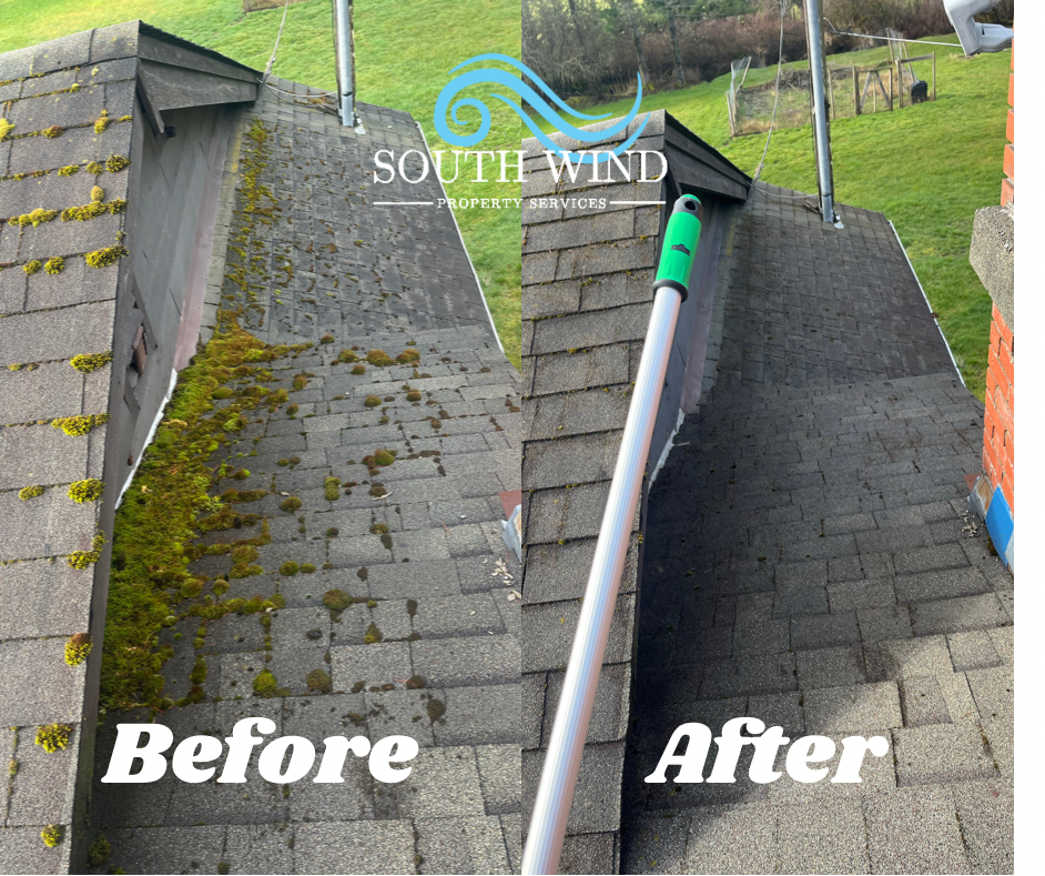 South Wind Property Services | 2010 Wilmot Rd, Cowichan Bay, BC V0R 1N1, Canada | Phone: (778) 422-2406