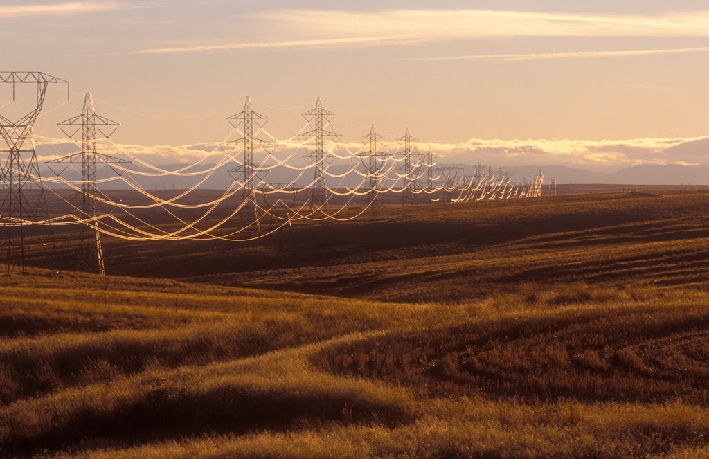 Boileau Electric & Pole Line Limited | 19055 Airport Way #401, Pitt Meadows, BC V3Y 0G4, Canada | Phone: (604) 462-1688