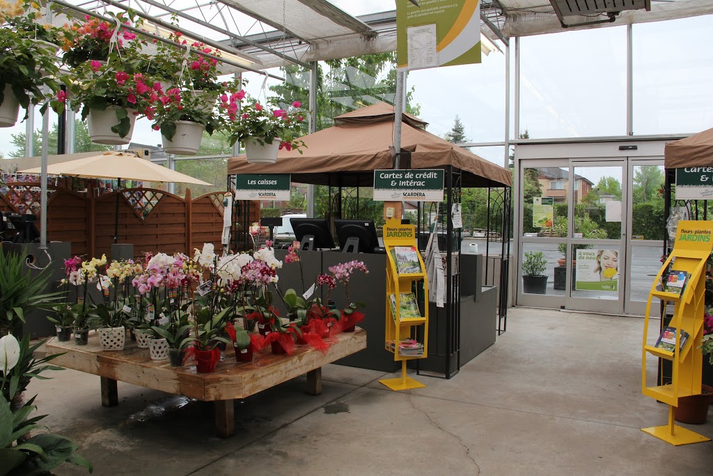 Fleuriste Scardera | 4200 De la Savane, Saint-Hubert, QC J3Y 9G4, Canada | Phone: (450) 468-0950