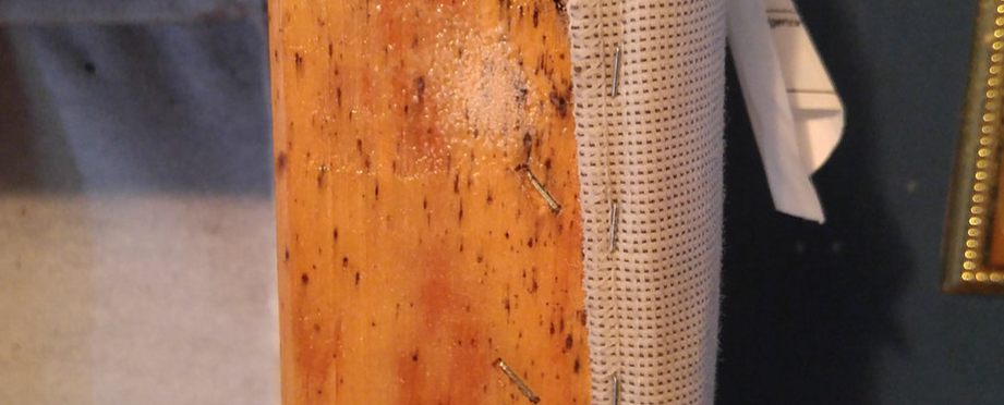 Well Done Pest Control | 857 Millworks Crescent, Mississauga, ON L5V 1C4, Canada | Phone: (647) 716-5589