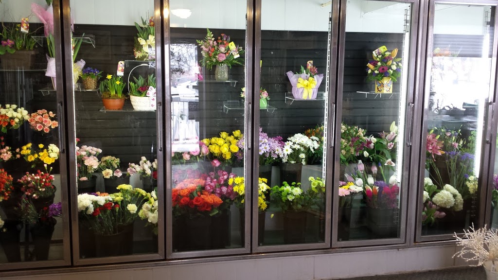 Country Creations Of Mt. Forest | 125 Queen St E, Mount Forest, ON N0G 2L2, Canada | Phone: (519) 323-9981