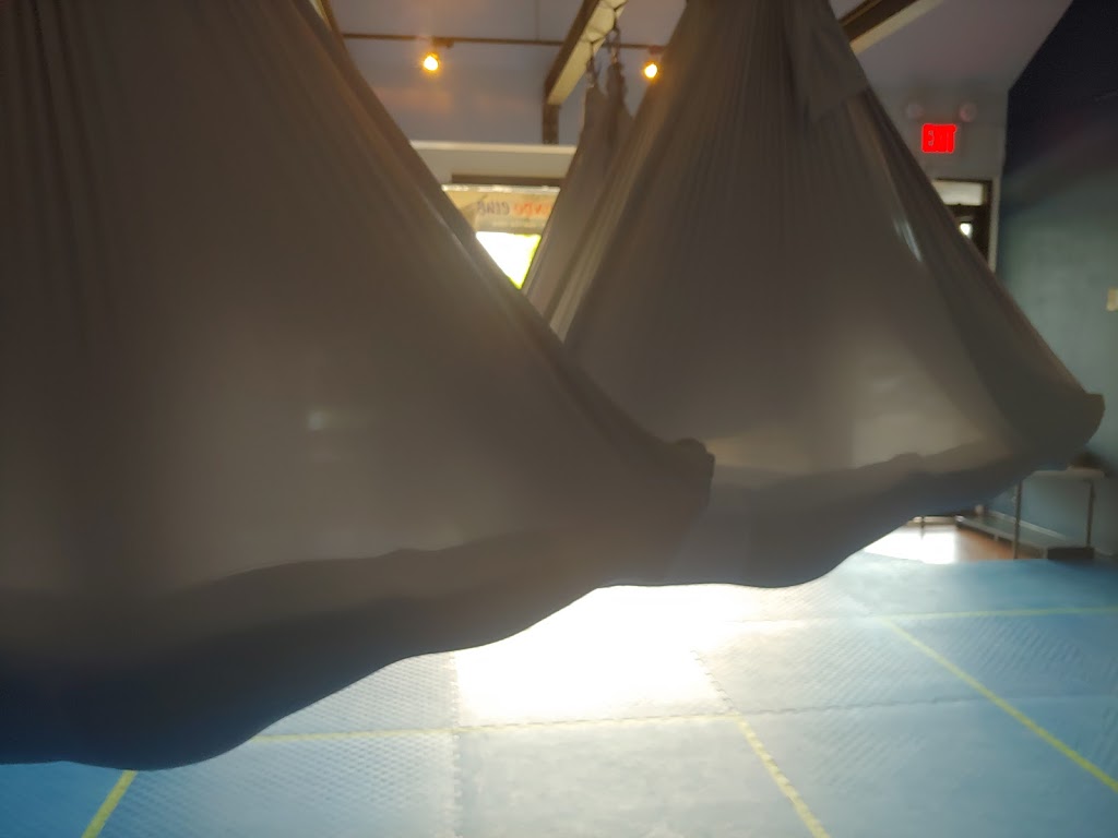 So Aerial Fit & Yoga | 8430 196 St, Langley City, BC V2Y 1Z4, Canada | Phone: (604) 440-5353